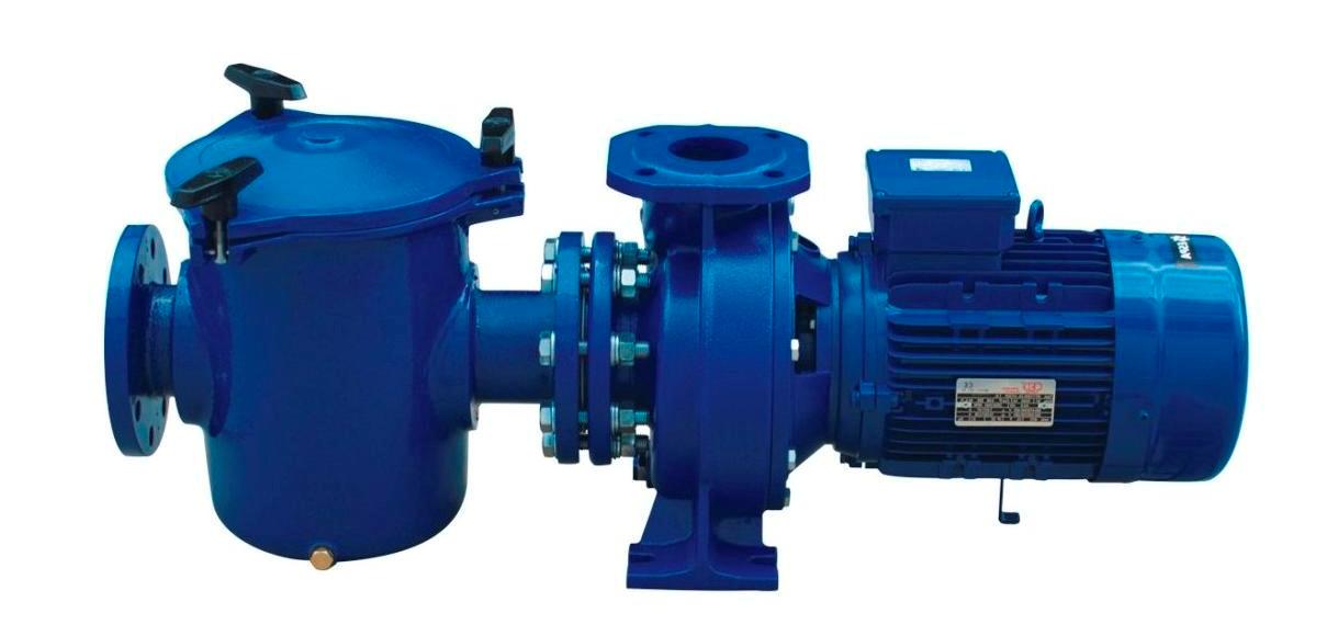 JG005 专业泳池泵/奥林匹克泳池泵