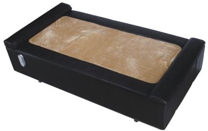 JG3032  水疗按摩床.